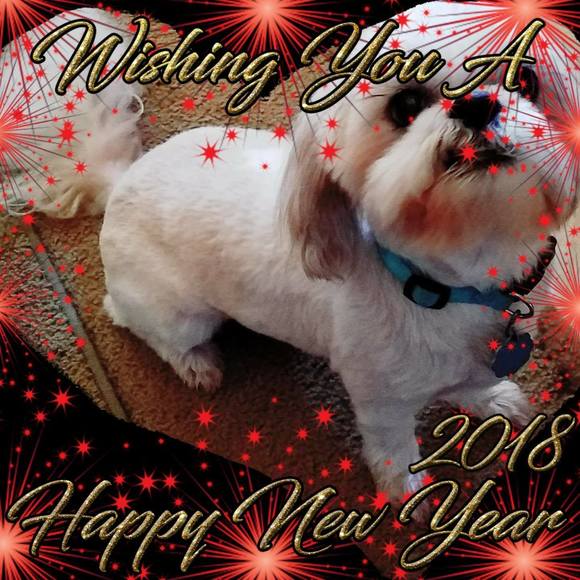 Meet your Posher, Janet - Picture 1 of 1